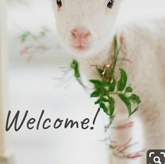 Meet your Posher, Poppy. - Picture 3 of 15